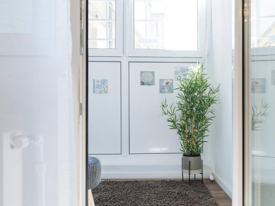 Cozy Studio Next To House Of Parliament Bucharest Luaran gambar